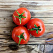 Raspberry Ruffles Micro Dwarf Tomato