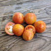 Woolly Zwerg Micro Dwarf Tomato