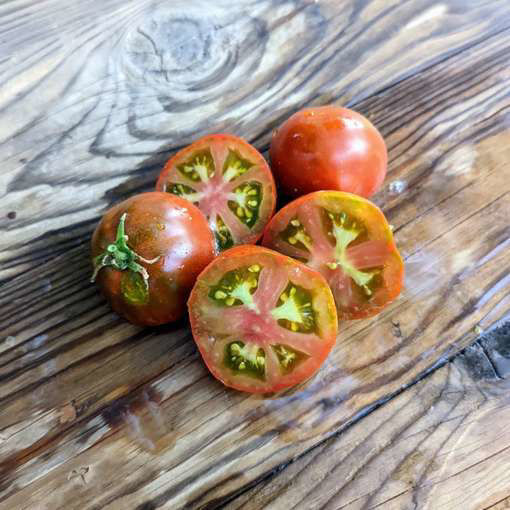 Dwarf Multiflora Mini Dwarf Tomato