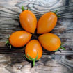 Lisichka Bush Tomato