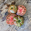 Loaghtan Woolies Bush Tomato