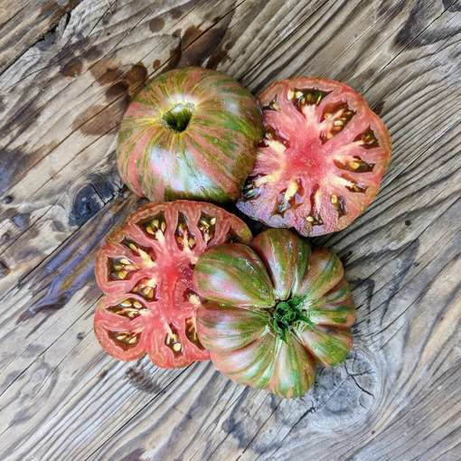 Loaghtan Woolies Bush Tomato