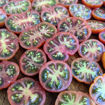 Petit Chocolate Bush Tomato