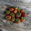 Petit Chocolate Bush Tomato