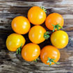 Yantarnyi Bush Tomato