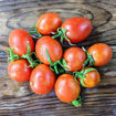 Kibits Ukrainian Dwarf Tomato