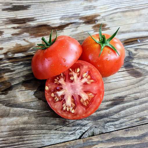 Victoria Dwarf Tomato
