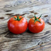 Victoria Dwarf Tomato