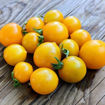Yellow Centiflor Cherry Tomato