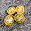 Pride of Flanders Woolly Tomato