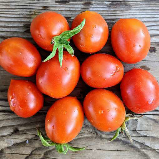 Frank's Iranian Tomato