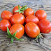 Frank's Iranian Tomato