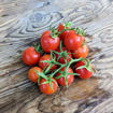 Frank's Iranian Tomato