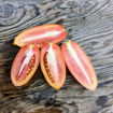 Hohloma Tomato