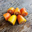 Hohloma Tomato