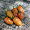 Speckled Roman Paste-Type Tomato