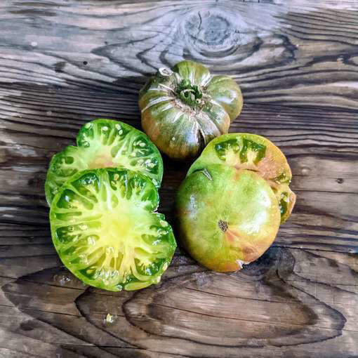 Shimmering Beauty Dwarf Tomato Project