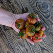 Ambrosia Giant Cherry Tomato