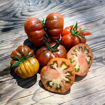 Ambrosia Giant Cherry Tomato