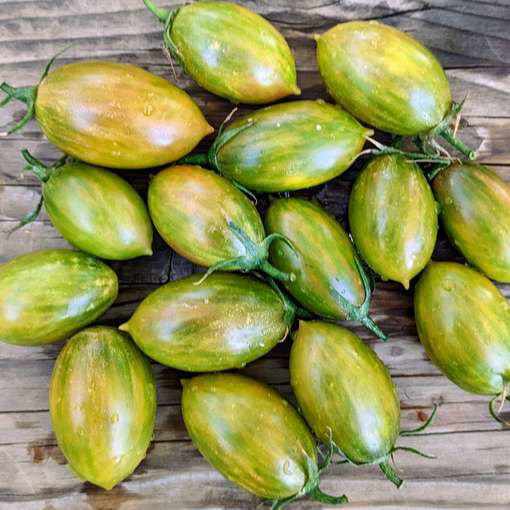 Green Ripper Cherry Tomato-Meraki Seeds