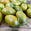 Green Ripper Cherry Tomato