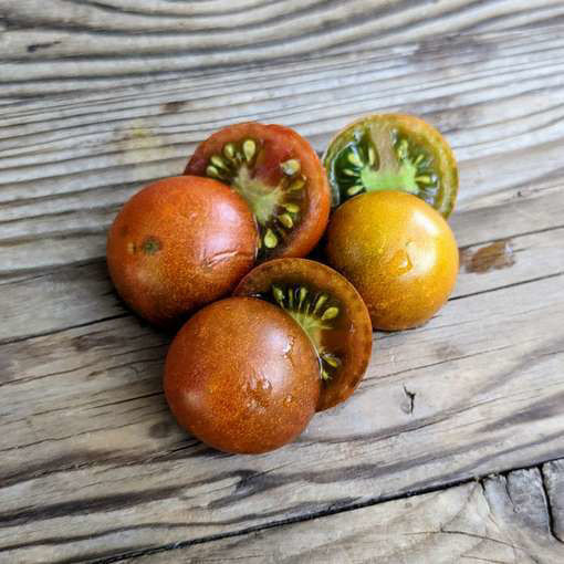 Hoosier Outlaw Black Cherry Tomato