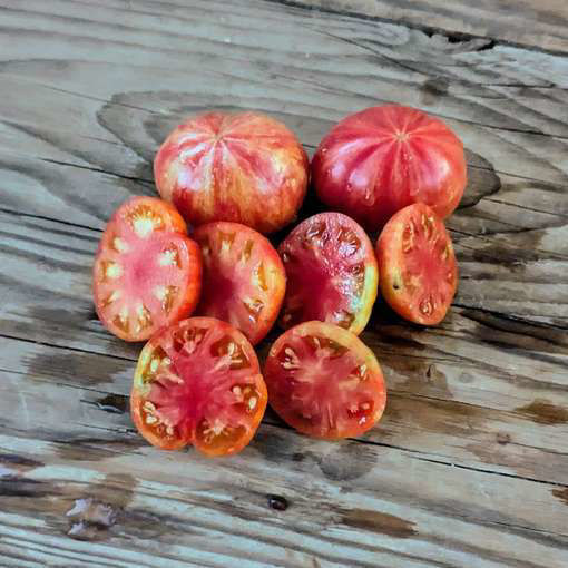 Rebel Starfighter Kayleigh Anne Pink Tomato Meraki Seeds