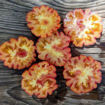 Märchenfeuer Tomato