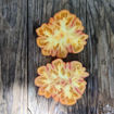 Märchenfeuer Tomato