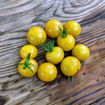 Green Honey Cherry Tomato