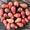 Indigo Pear Drops Pink Cherry Tomato