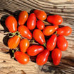 Gunilla’s Ministar Cherry Tomato