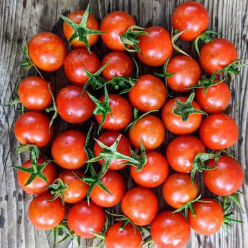Mei Wei Cherry Tomato Mei Wei Cherry Tomato