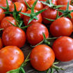 Mei Wei Cherry Tomato