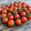 Mei Wei Cherry Tomato