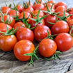 Mei Wei Cherry Tomato
