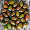 Tomarindo Multicolor Cherry Tomato