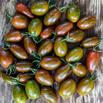 Tomarindo Multicolor Cherry Tomato Tomarindo Multicolor Cherry Tomato