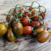 Tomarindo Multicolor Cherry Tomato