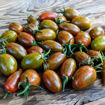 Tomarindo Multicolor Cherry Tomato