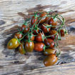 Tomarindo Multicolor Cherry Tomato