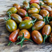 Tomarindo Multicolor Cherry Tomato