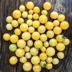 Lumos Cherry Tomato
