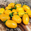 Orange Keyes #2 – Pointy Cherry Tomato