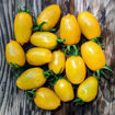 Orange Keyes #2 – Pointy Cherry Tomato