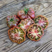 Barnacle Tomato