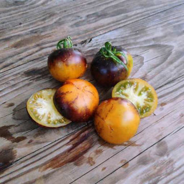 Blue Orange Purple Striped Tomato Blue Orange Purple Striped Tomato
