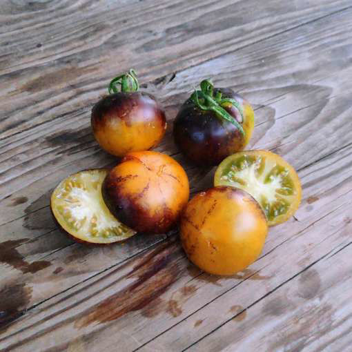 Blue Orange Purple Striped Tomato