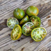 Chef Guy Gedda Tomato