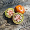 Golova Negra Tomato